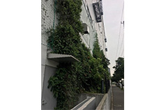 施設緑化
